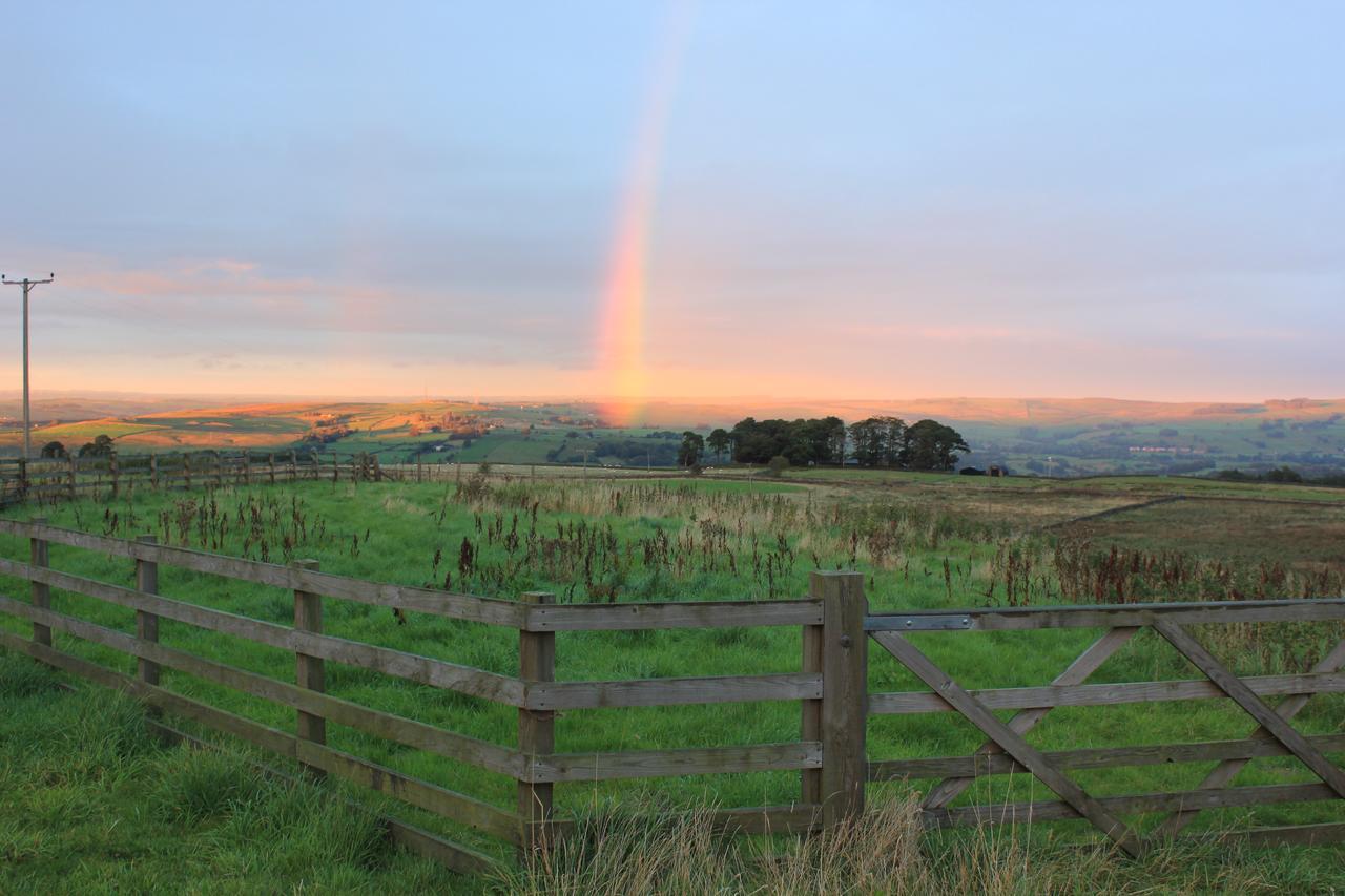 High Keenley Fell Farm Allendale Kültér fotó