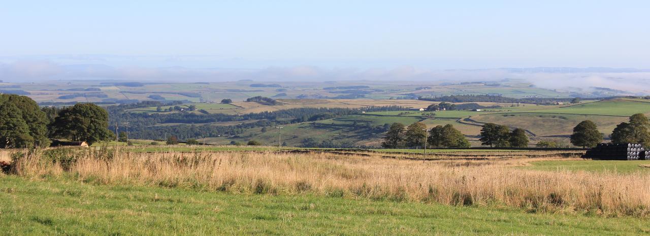 High Keenley Fell Farm Allendale Kültér fotó