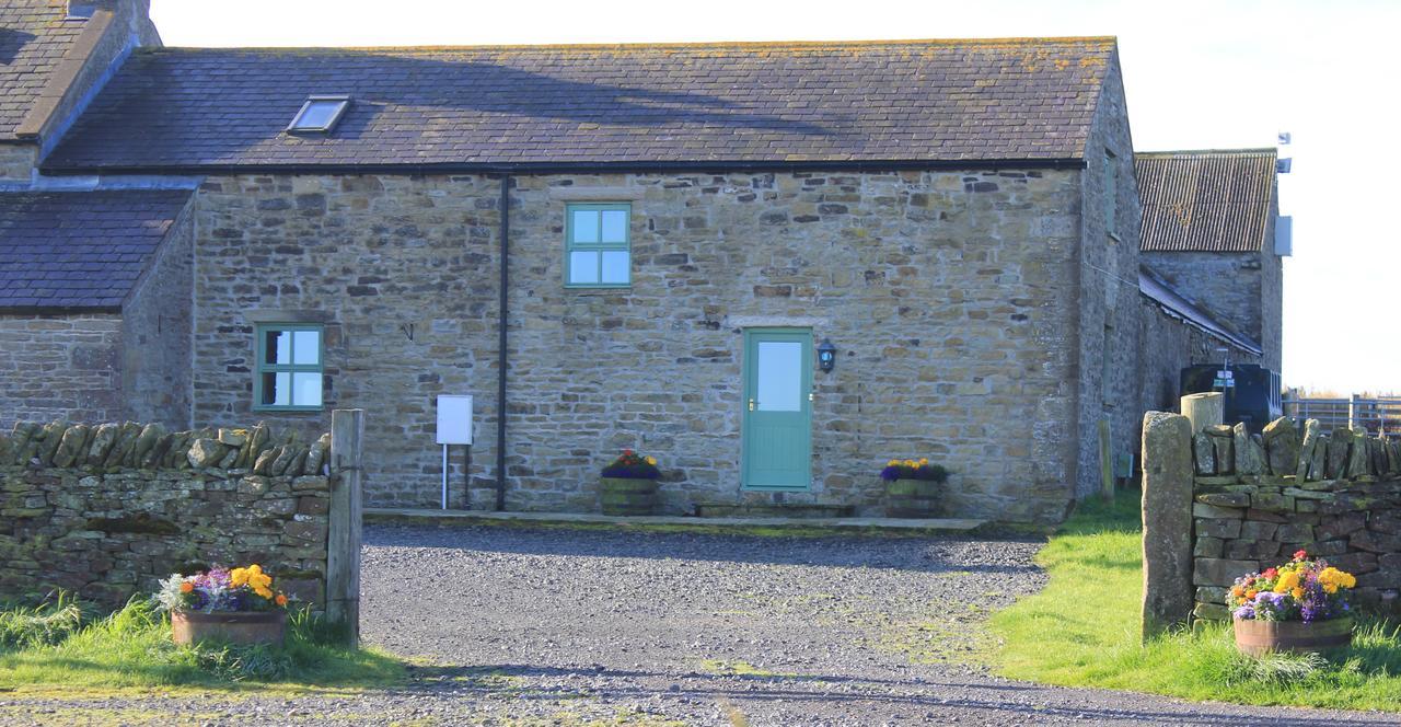 High Keenley Fell Farm Allendale Kültér fotó